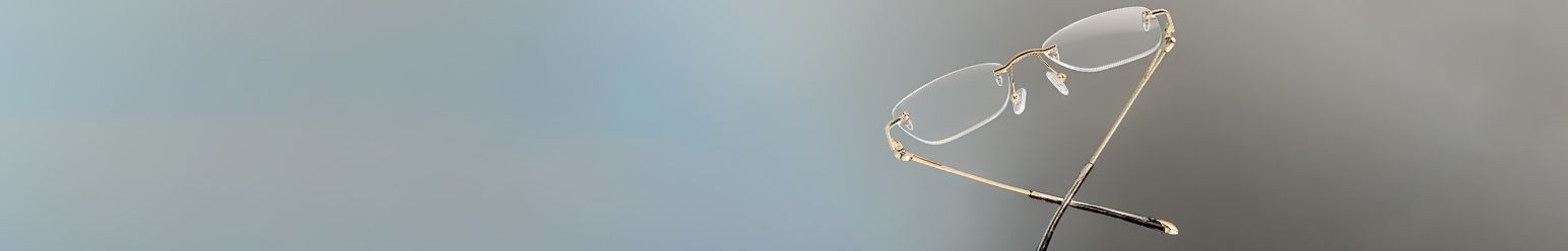 horn rimmed frame glasses