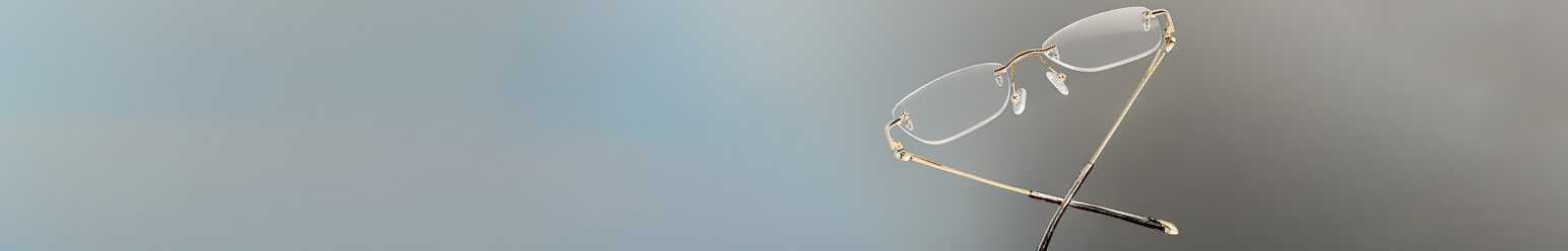 horn rimmed frame glasses
