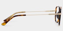 Poppy Tortoise Aviator Glasses3