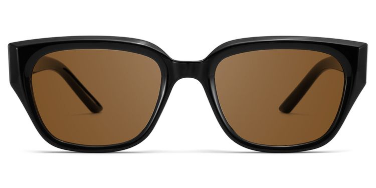 Serene Cat Eye Black Clear Polarized Sunglasses