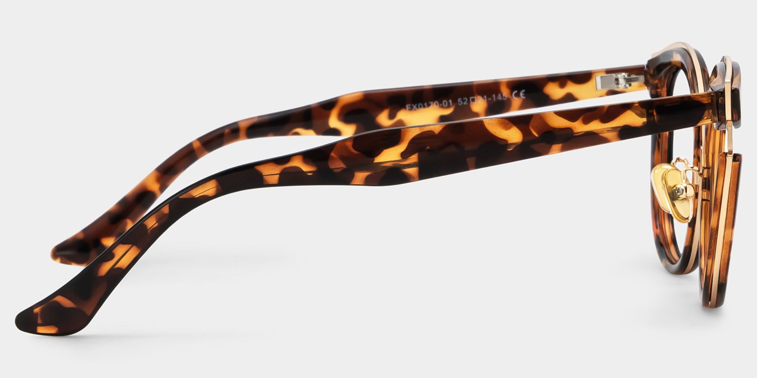 Laraine Cat Eye Tortoise Frame Glasses | Zeelool Optical3