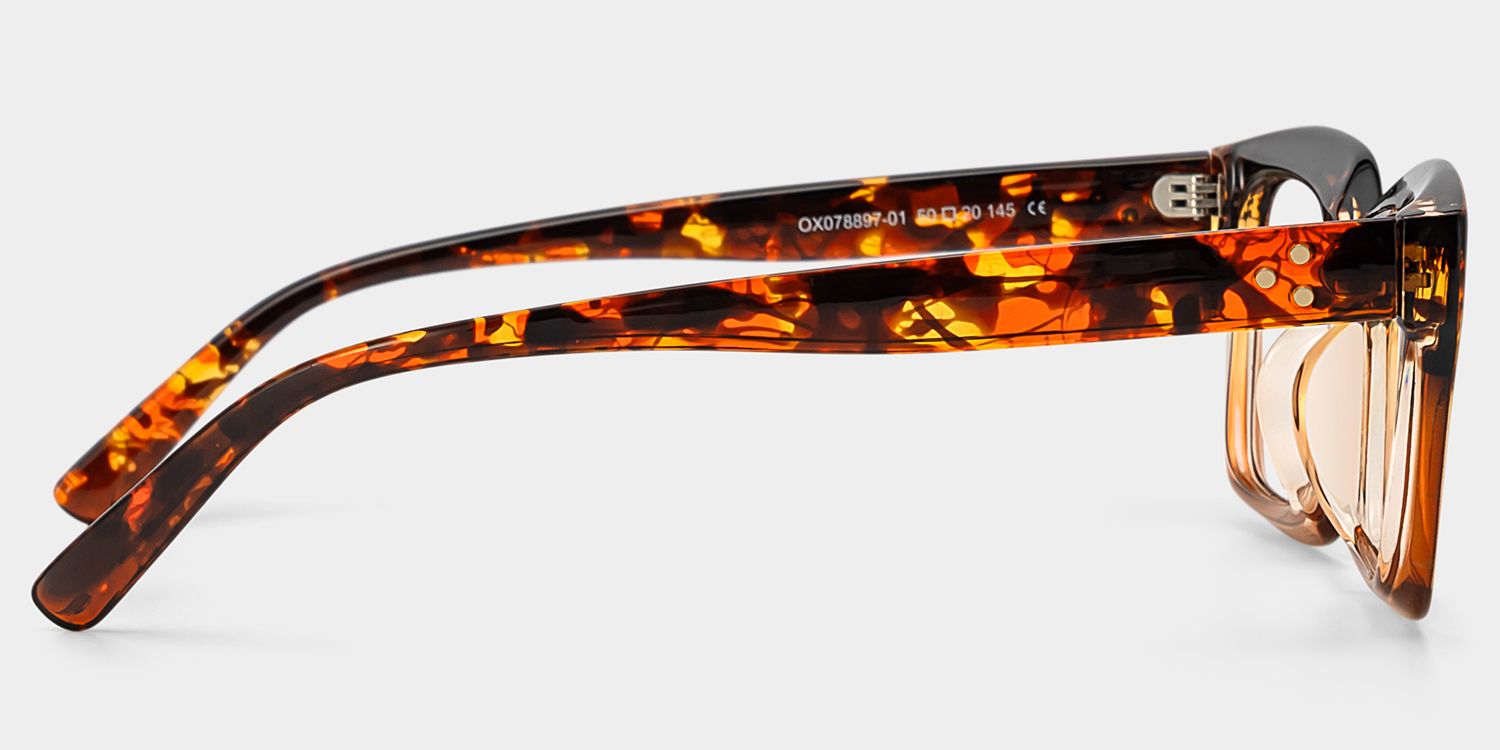 Grover Rectangle Tortoise Eyeglasses and Glasses Frames3