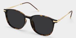 Greene Square Glasses2
