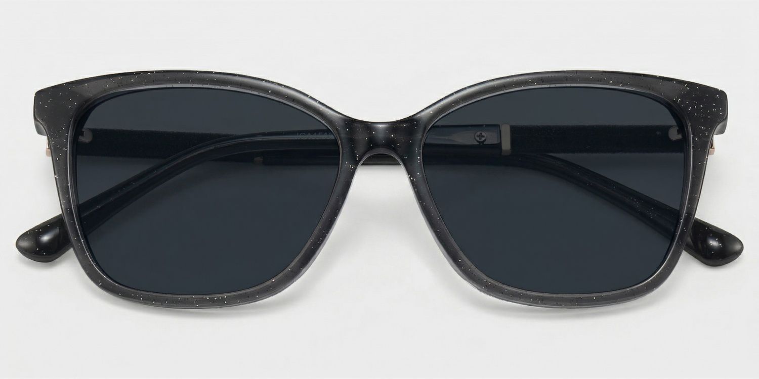 Finnian Acetate Black Frame Sunglasses | ZEELOOL CA1