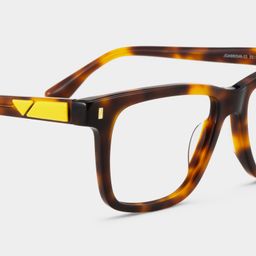 Travis Rectangle Tortoise Glasses4