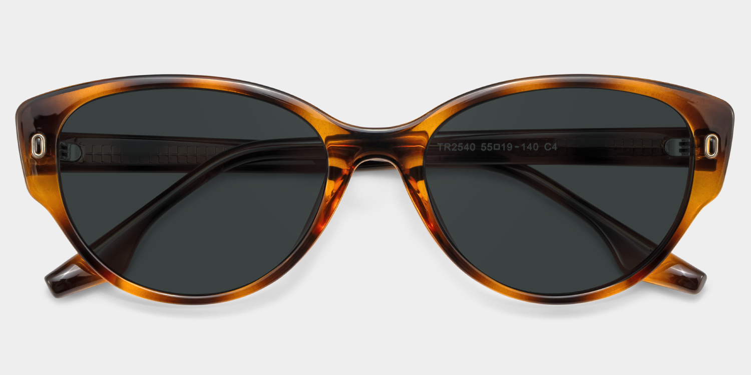 Livia Tortoise Frame Polarized Sunglasses with cat-eye Style Online | ZEELOOL Canada1