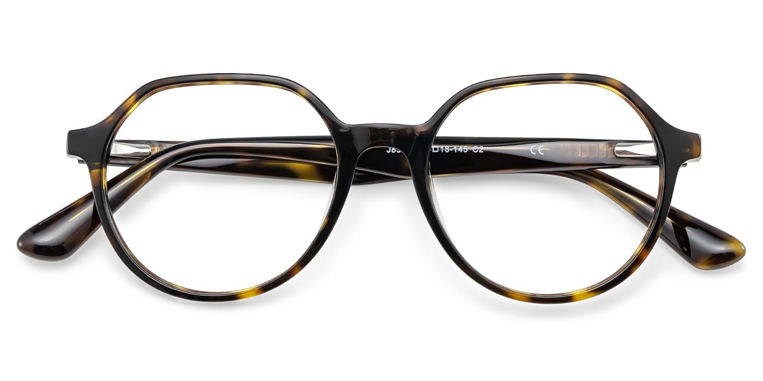 Hazel Geometric Tortoise Frame Eyeglasses for Man| ZEELOOL Canada2