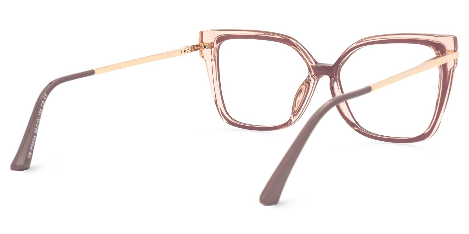 Chrisett Brown Square Designer Eyeglasses3