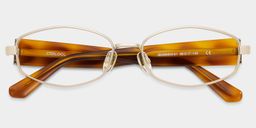 Dakota Tortoise Rectangle Glasses1