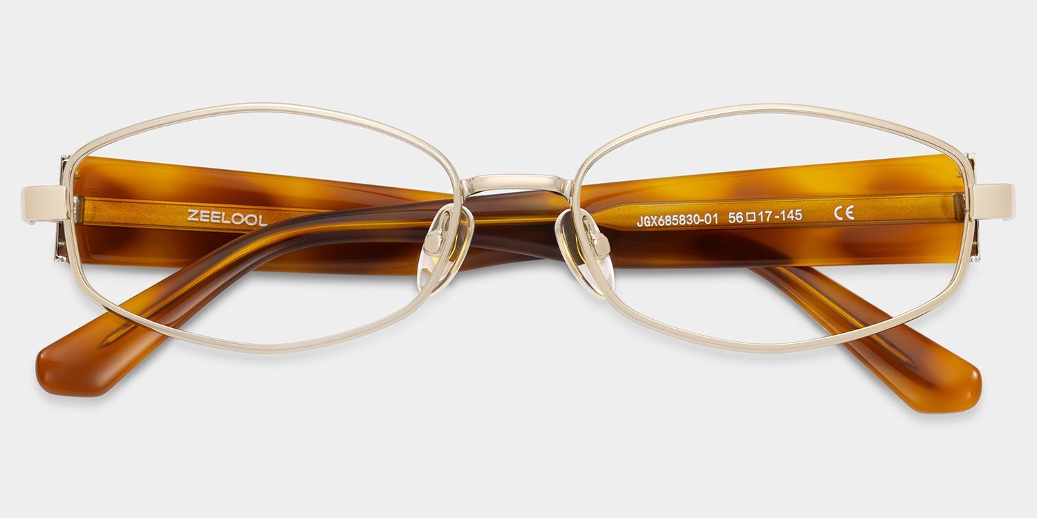 Dakota Warm Brown Tortoise Rectangle Glasses | ZEELOOL2