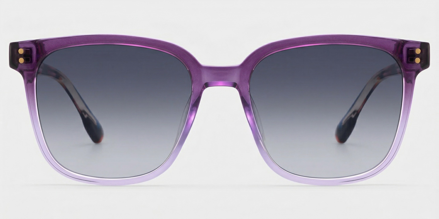 Donnalyn Tr90 Purple Frame Sunglasses | ZEELOOL CA0