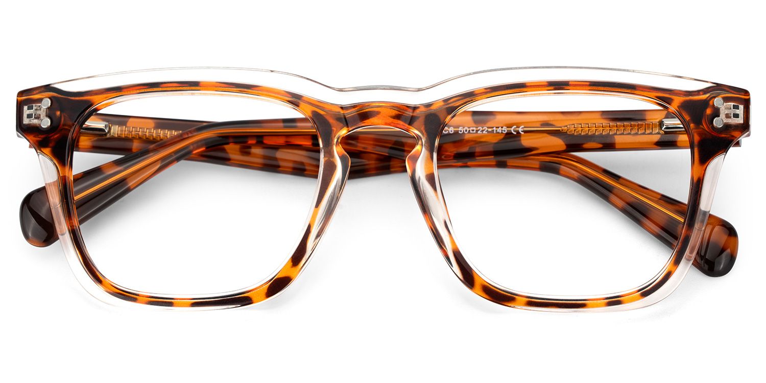 Tr90 Eyeglasses Frames With Rectangle Shape and Tortoise Color2