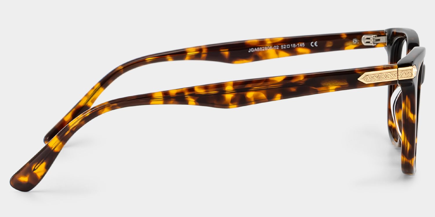 Thomas Tortoise Frame Glasses with Rectangle Frame Online | ZEELOOL4
