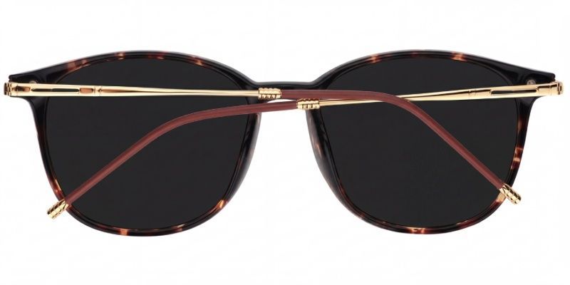 Greene Square Tortoise Frame Glasses | Zeelool Optical4