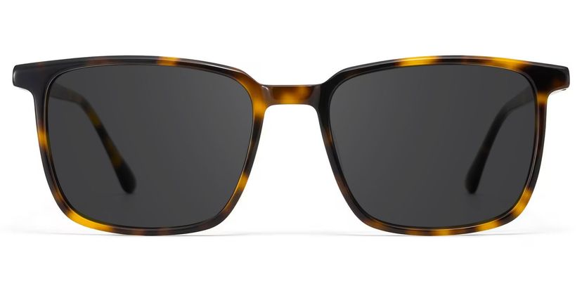 Aidan Rectangle Tortoise Glasses