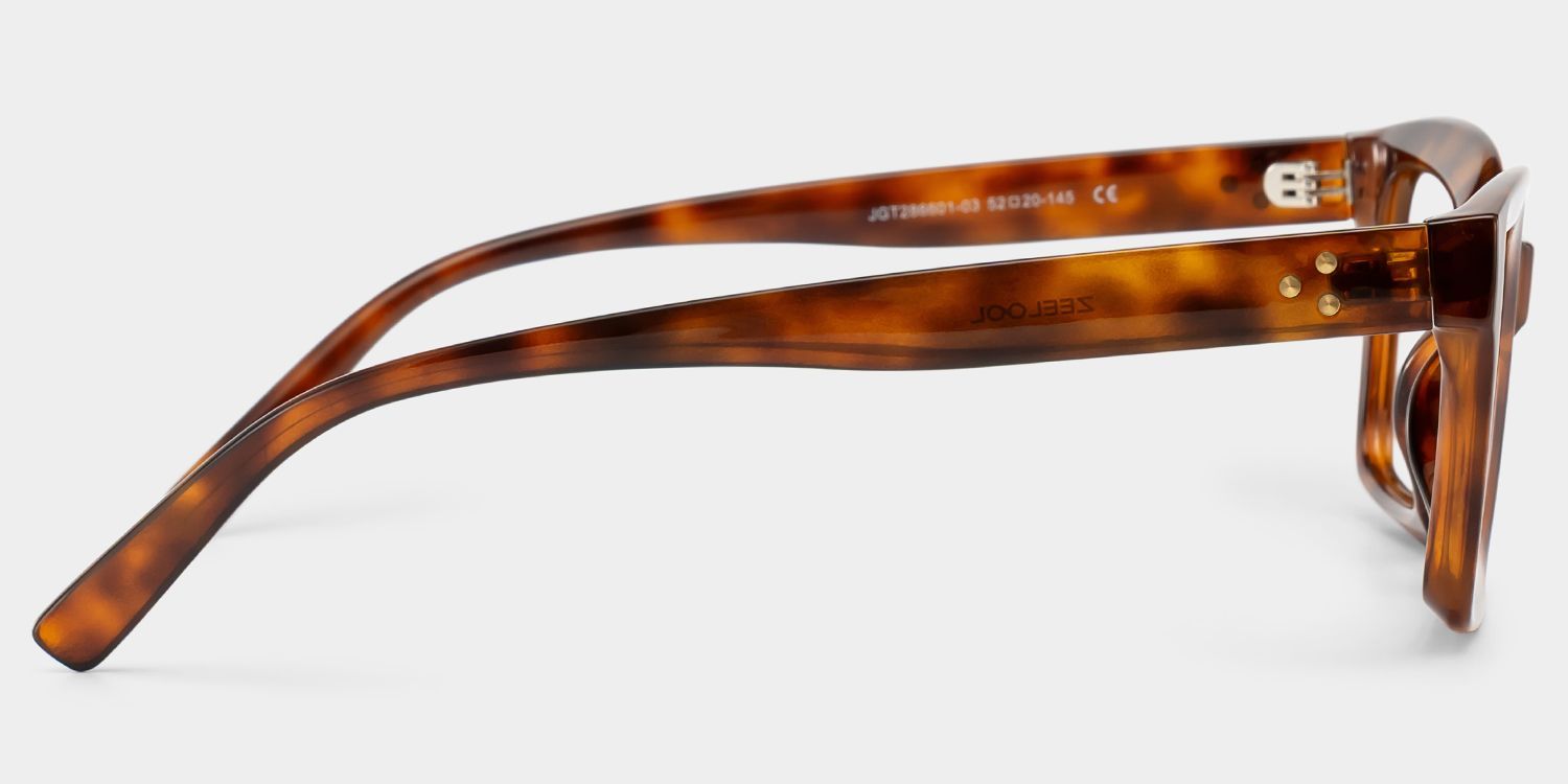 Marley Tortoise Eyeglasses with Rectangle Frames | ZEELOOL3