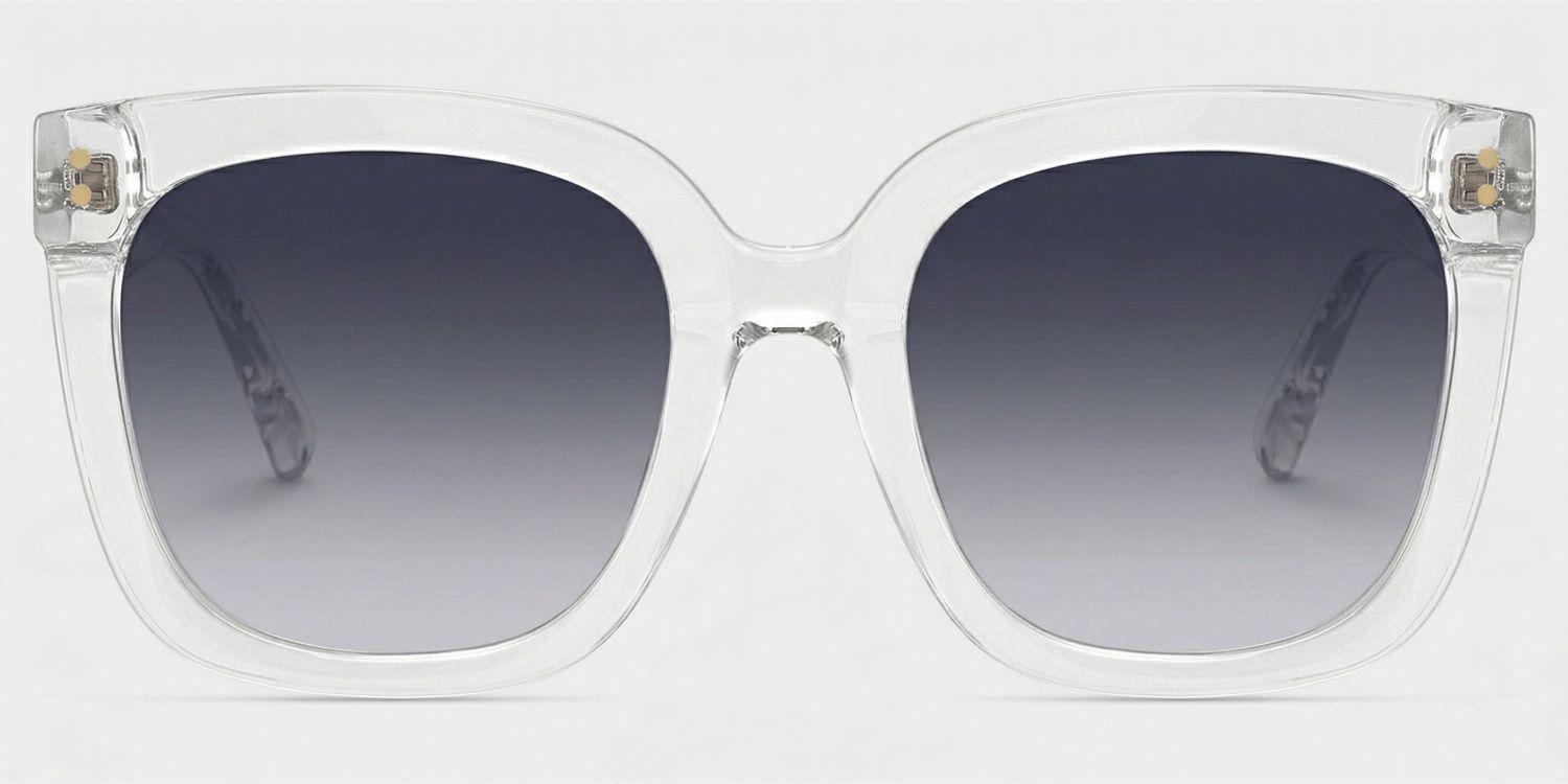 Ebony Plastic Clear Frame Sunglasses | ZEELOOL CA0