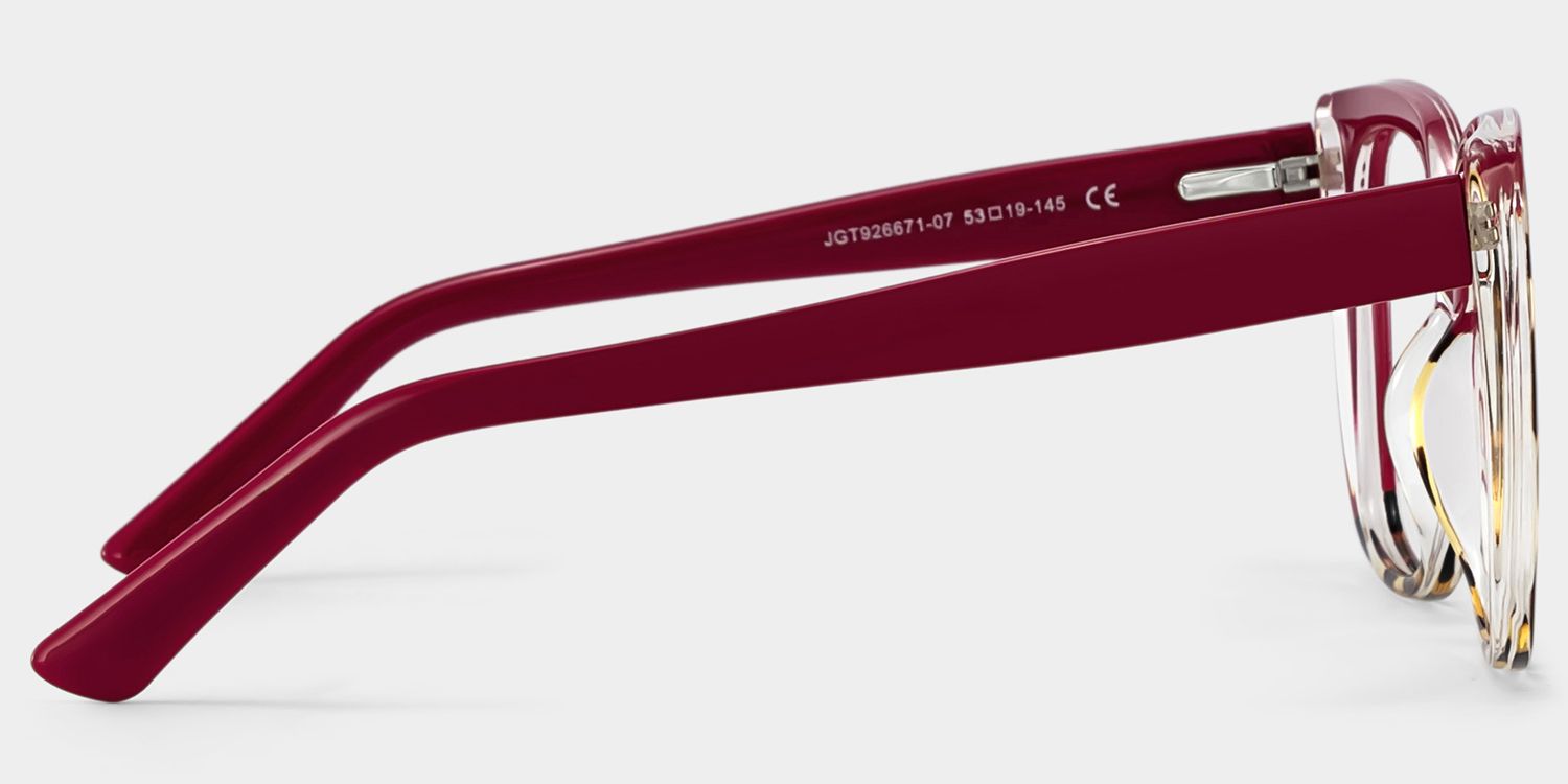 Square Carrero Two-Tone Eyeglasses and Glasses Frames4