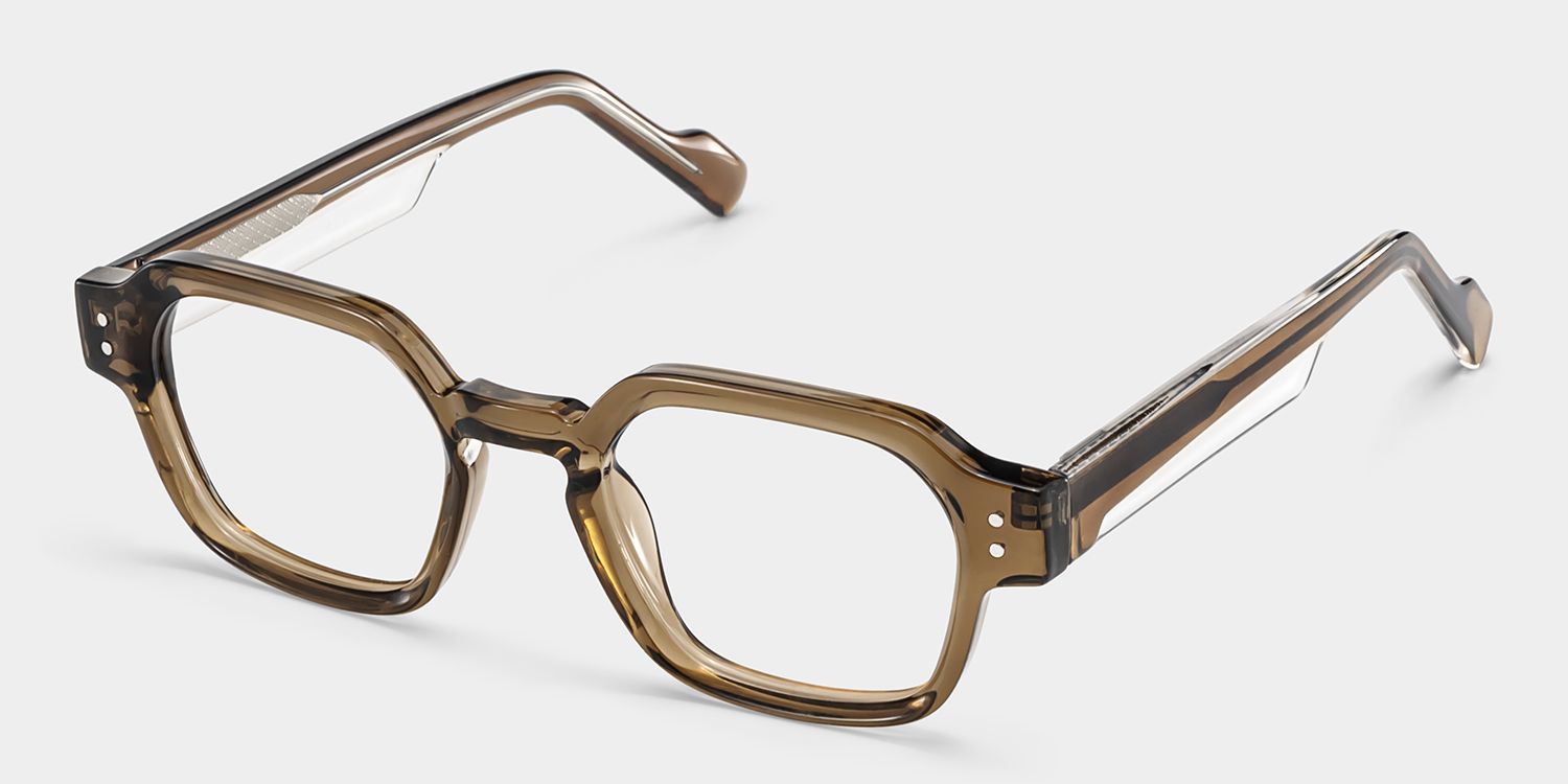 Joy Brown Frame Glasses with Geometric Frame Online | ZEELOOL3