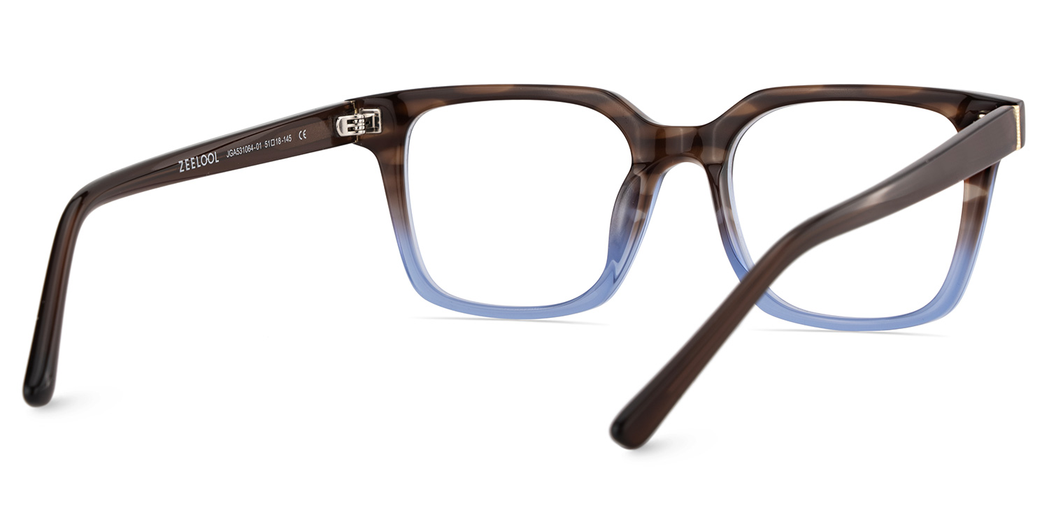 Pagel Brown Gradient Blue Thin Frame Eyeglasses | ZEELOOL Canada5