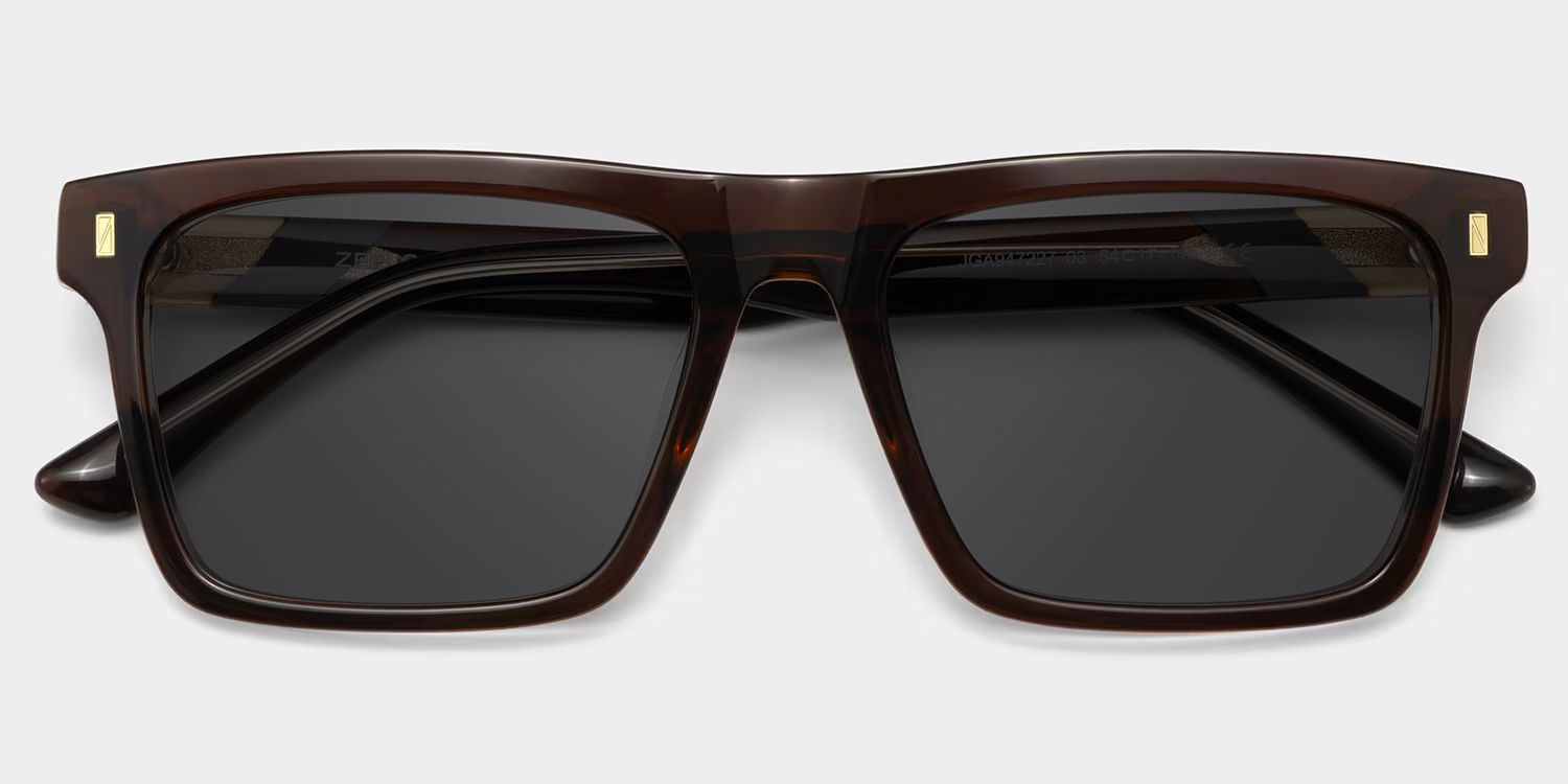 Henry Brown Rectangle Sunglasses to Frame Your Face | ZEELOOL CA1