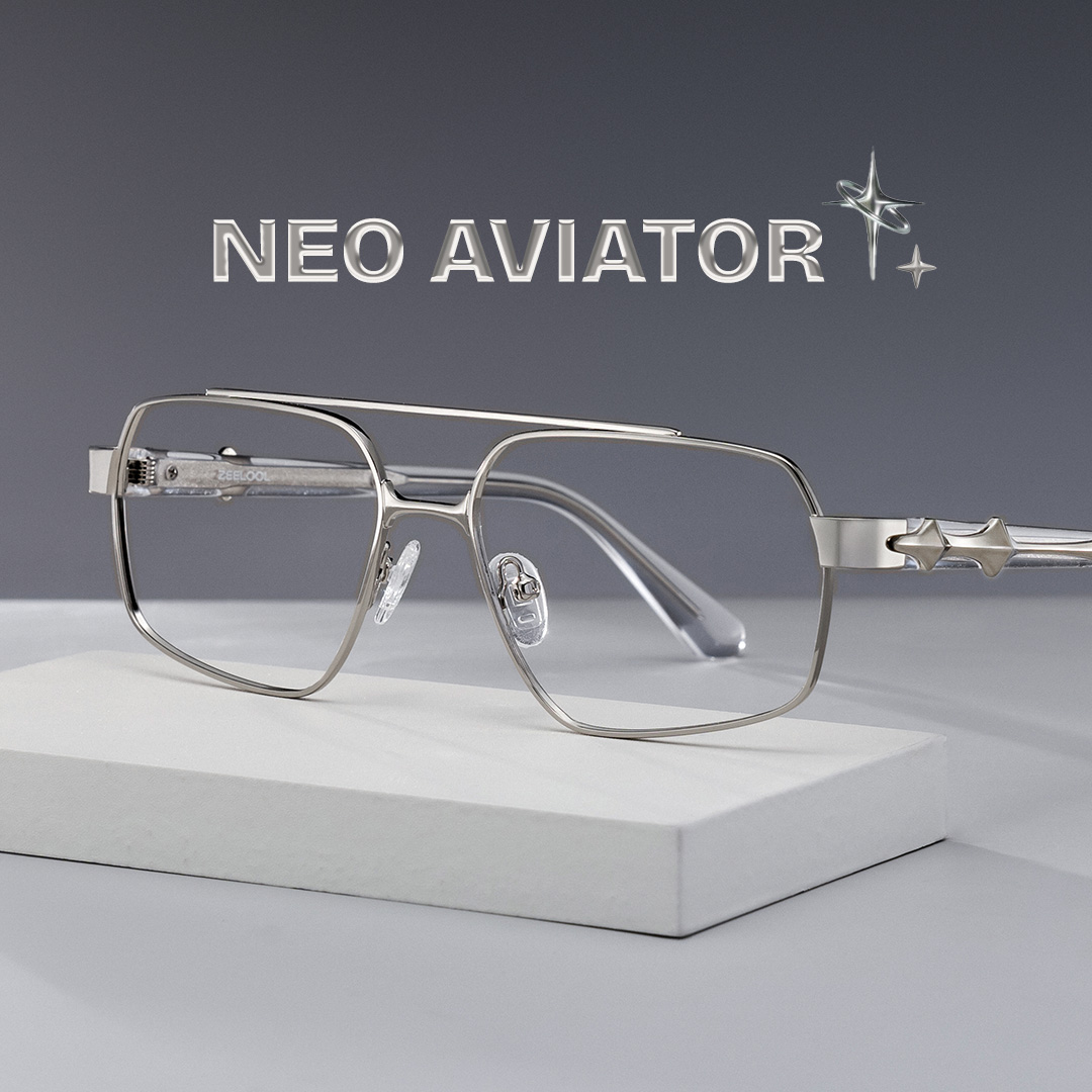 Sterling Eyeglasses in Aviator Silver Frame | ZEELOOL Canada0
