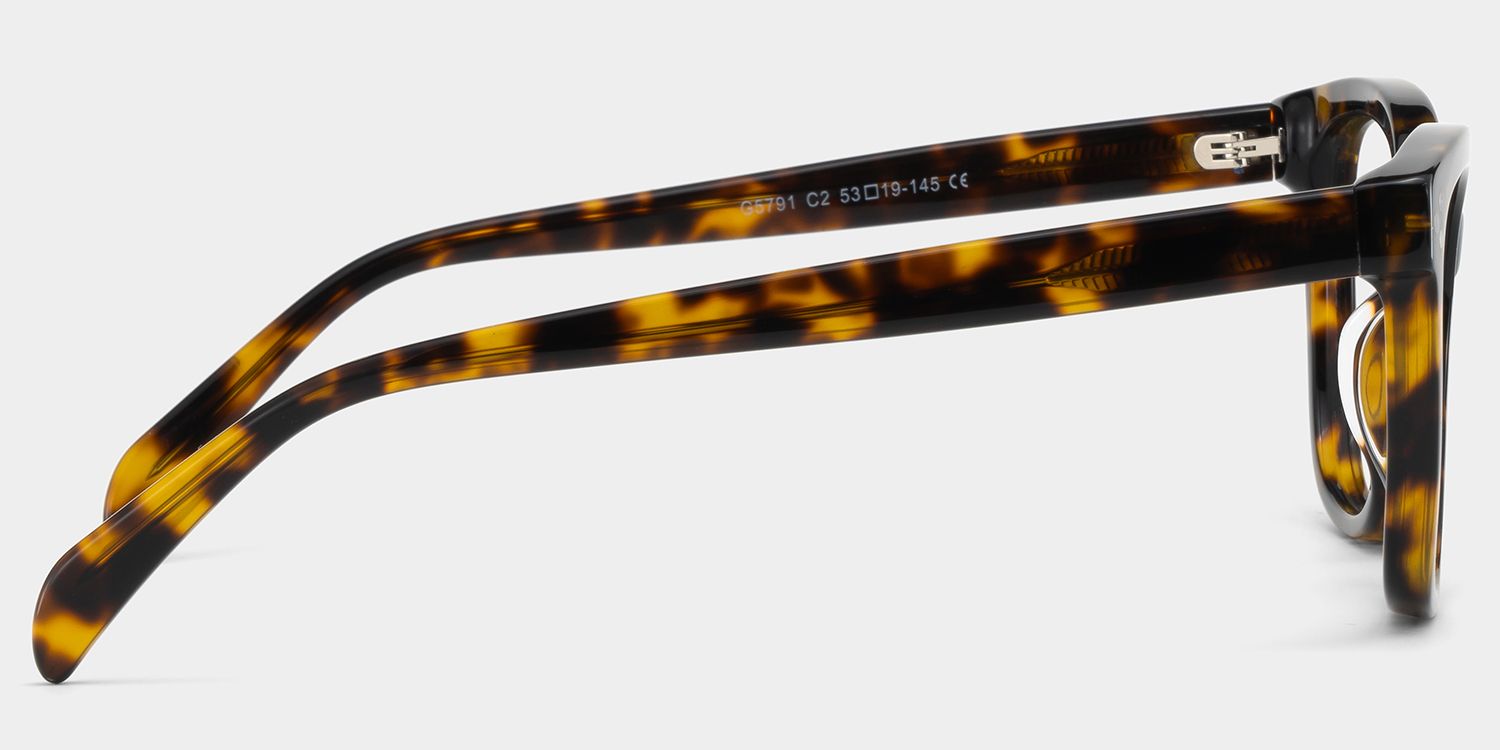 Scarlett Tortoise Frame Glasses with Square Frame Online | ZEELOOL Canada3