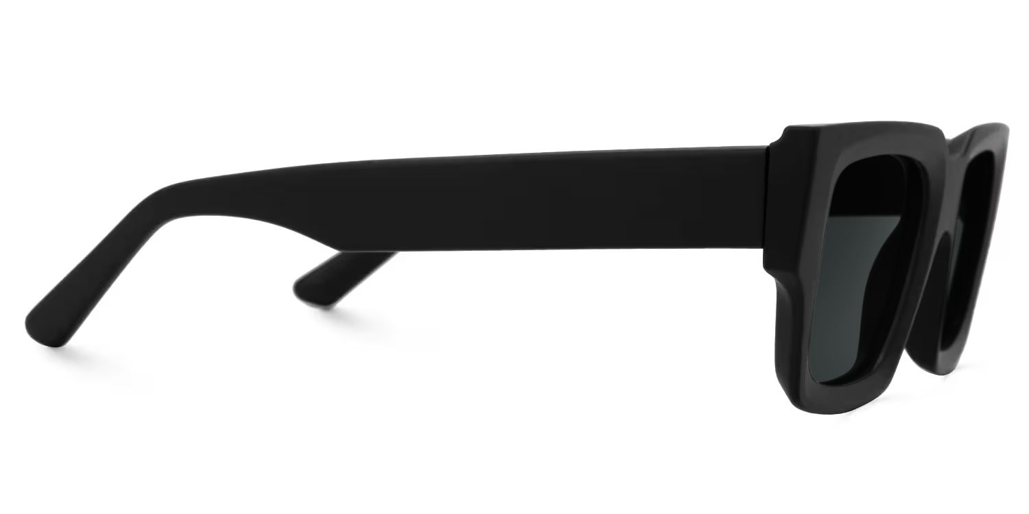 Garza Tr90 Black Frame Sunglasses | ZEELOOL CA2