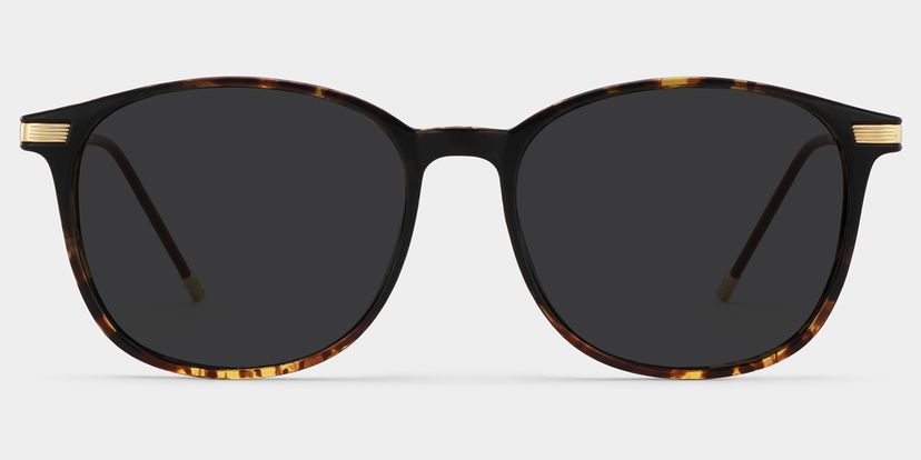 Greene Square Glasses