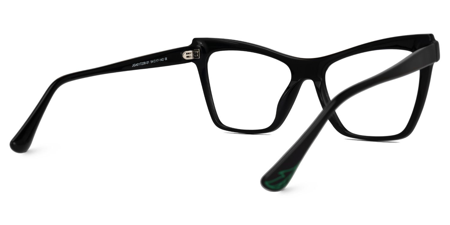 Bouck Cateye Black Glasses3
