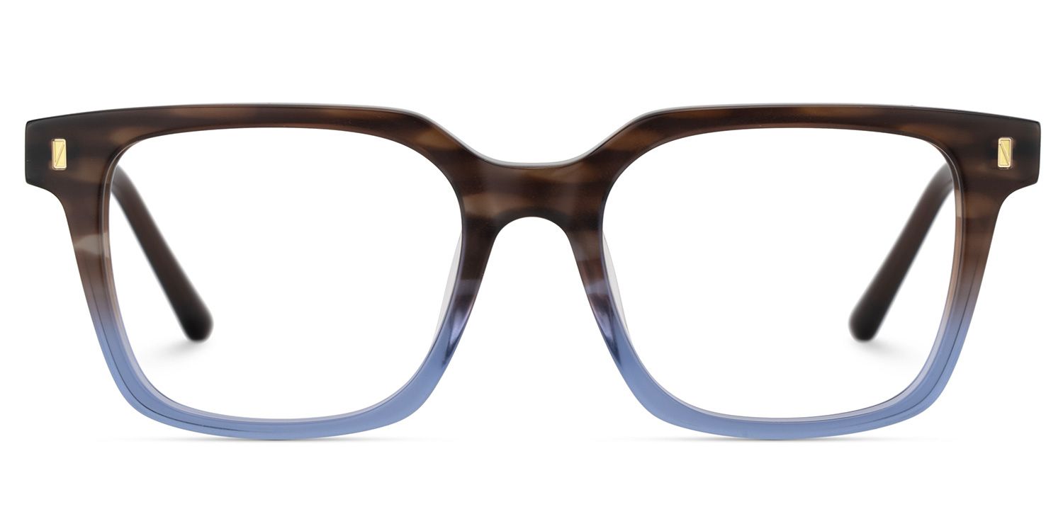 Pagel Brown Gradient Blue Thin Frame Eyeglasses | ZEELOOL Canada1