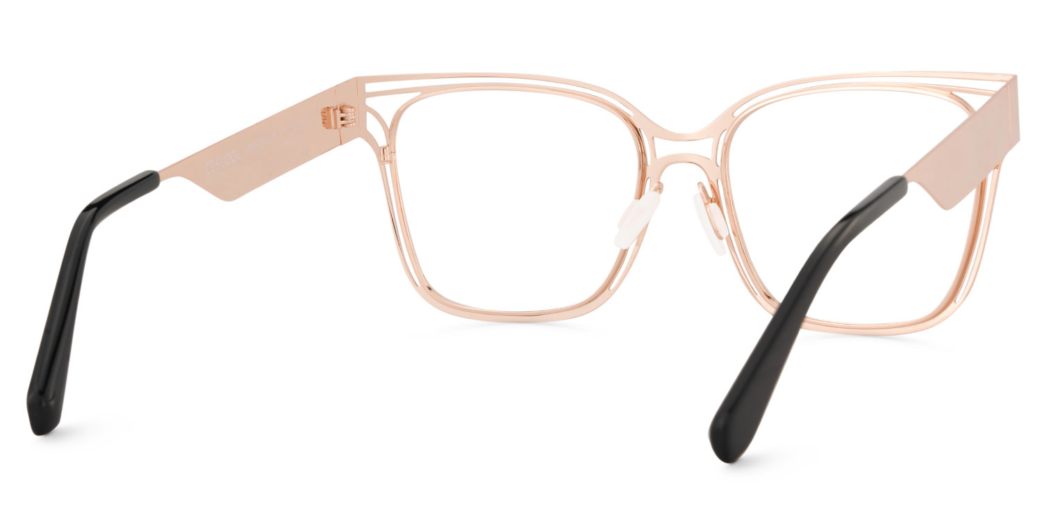 Dacarine Square Tortoise Glasses5