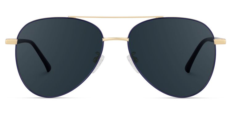 Paige Aviator Blue-Gold Sunglasses