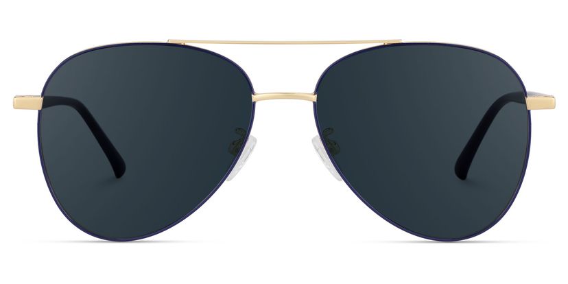 Paige Aviator Blue-Gold Sunglasses