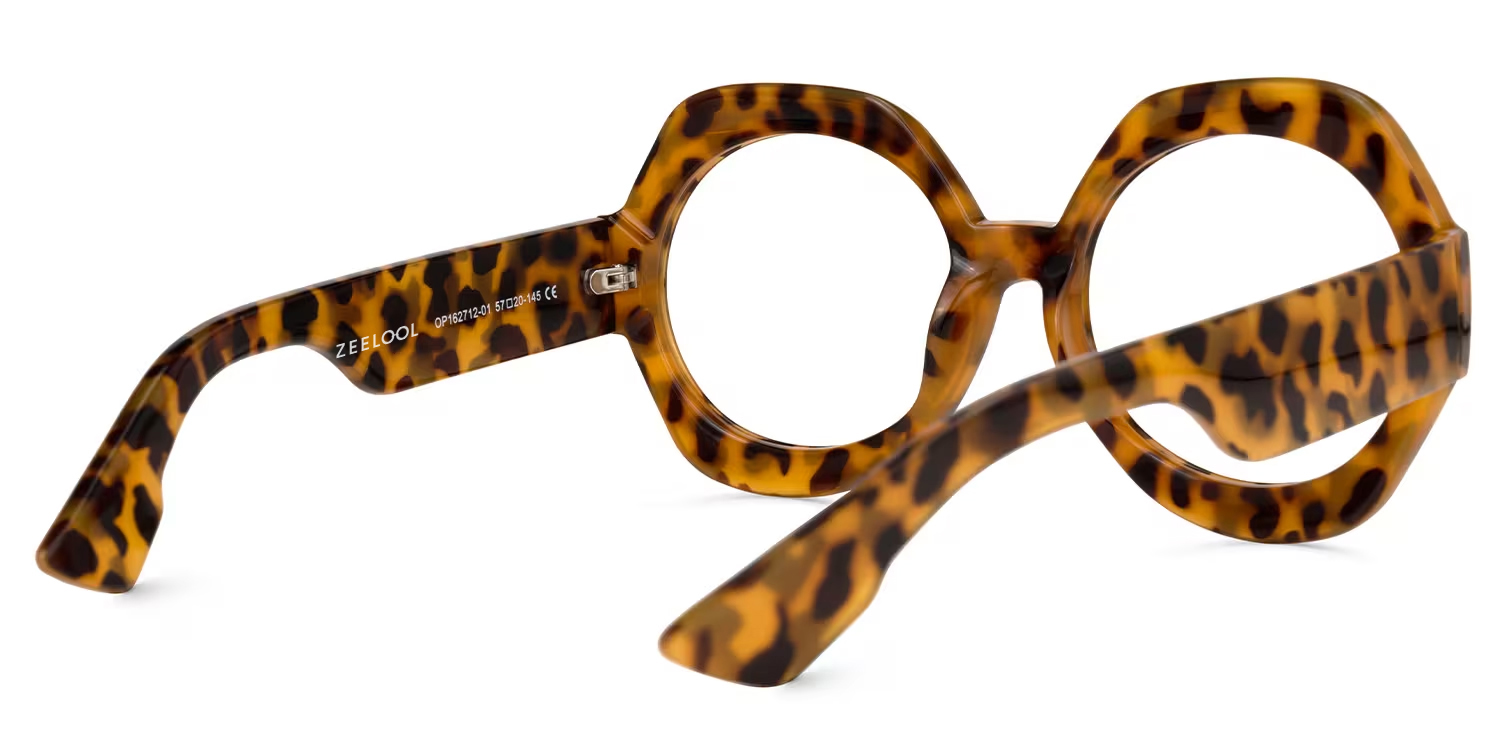 Geoffrey Geometric Tortoise Eyeglasses & Glasses Frames3