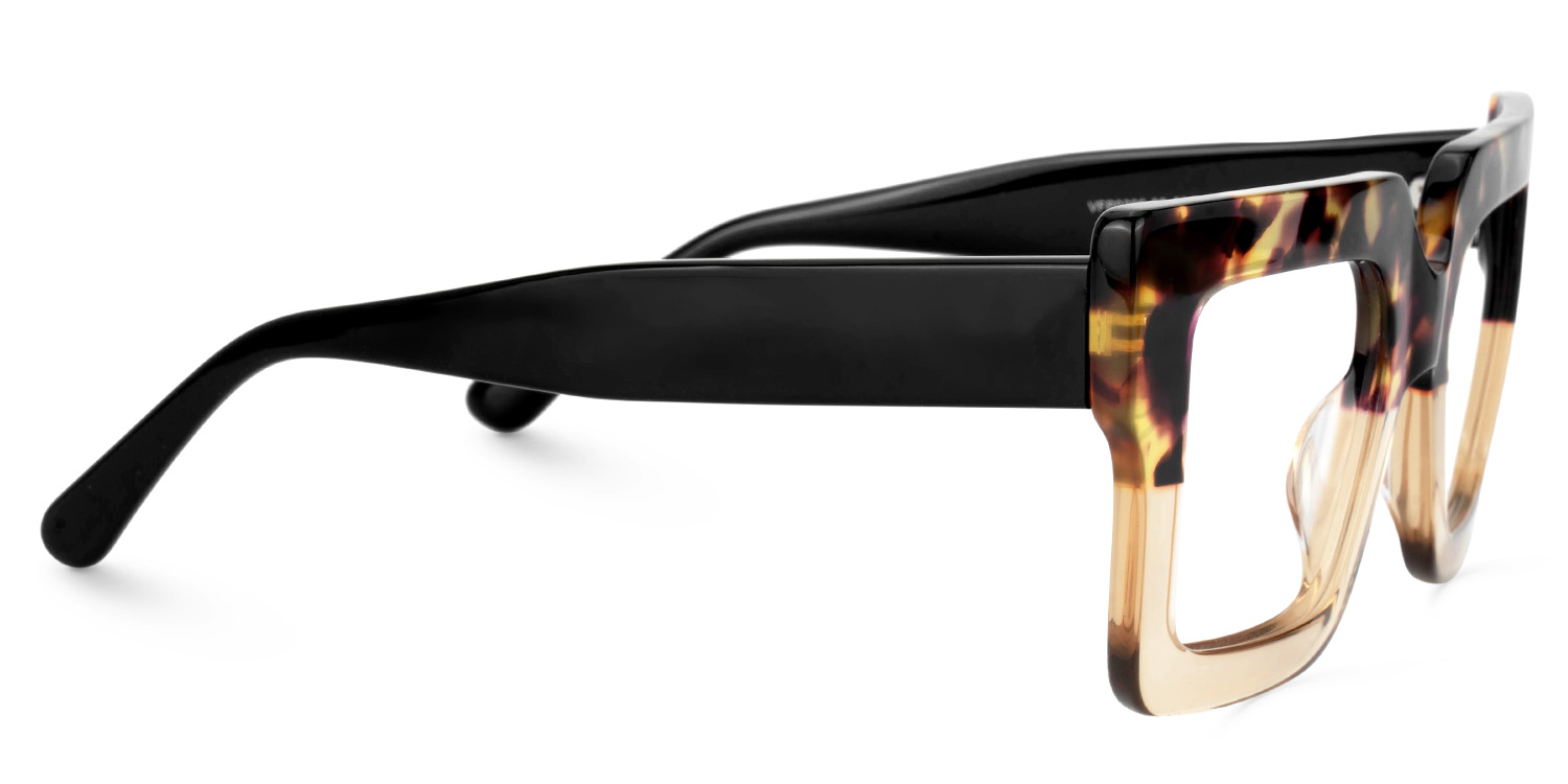 Brandon Square Tortoise Eyeglasses and Two-tone Frames2