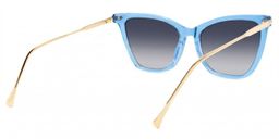 Hilary Butterfly Blue Glasses3