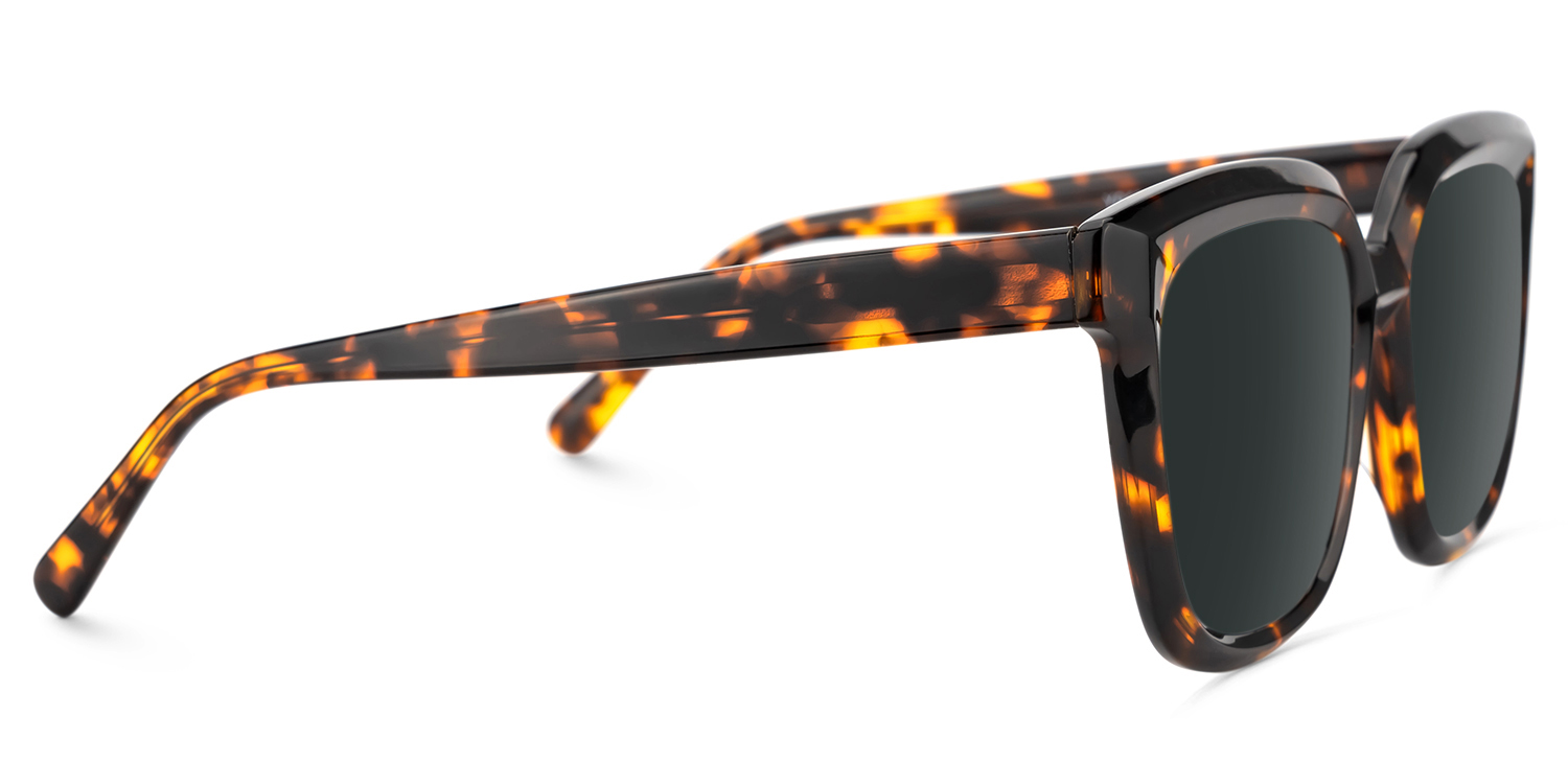 Lark Square Tortoise Polarized Sunglasses3
