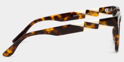 Harriet Square Tortoise Glasses4