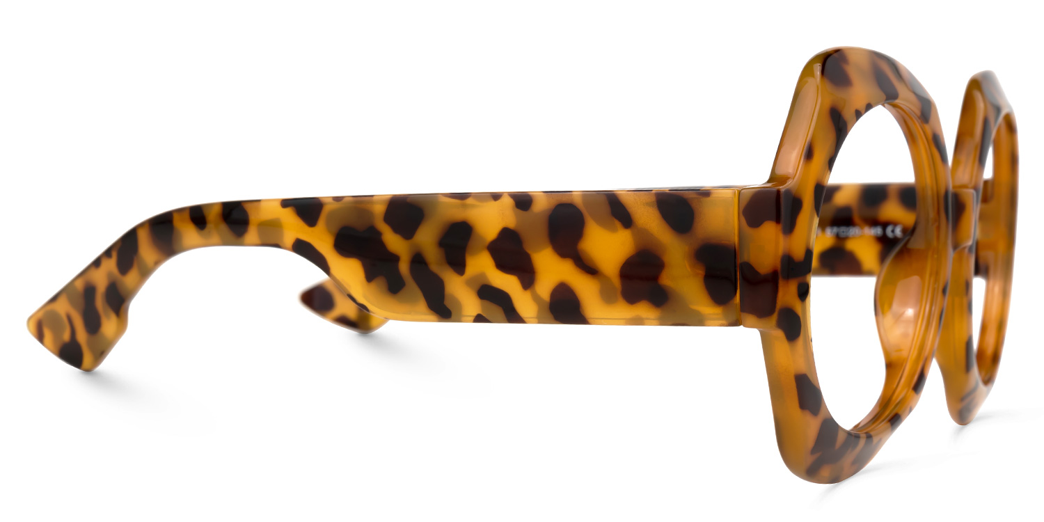 Geoffrey Geometric Tortoise Eyeglasses & Glasses Frames2