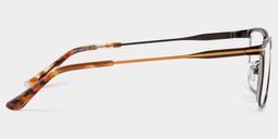 Roxana Rectangle Brown Glasses3