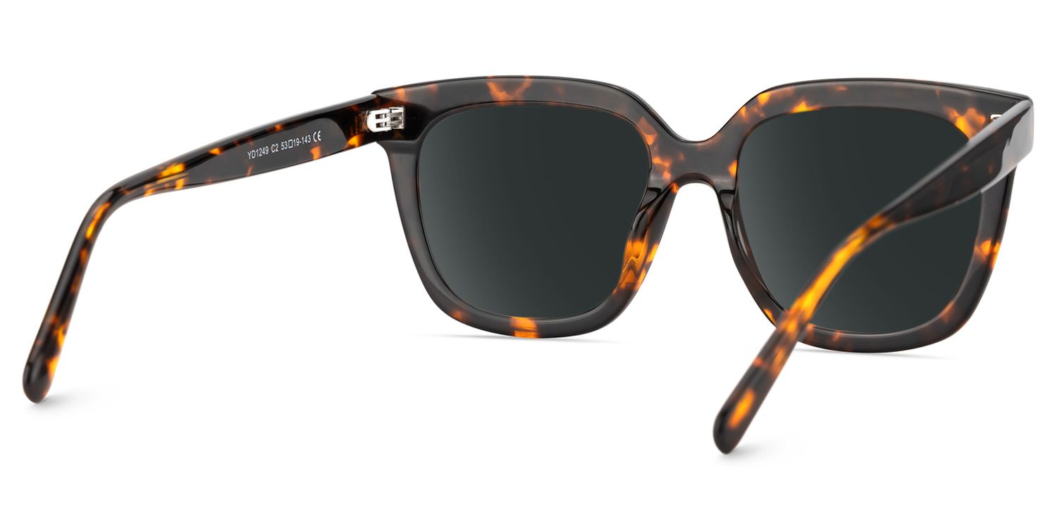 Lark Square Tortoise Polarized Sunglasses4