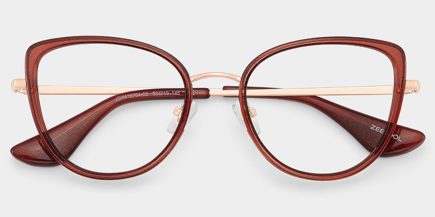 Celine Cat-eye Red Burgundy Eyeglass Frames for Women | ZEELOOL2