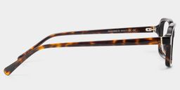 Danielle Tortoise Rectangle Glasses4