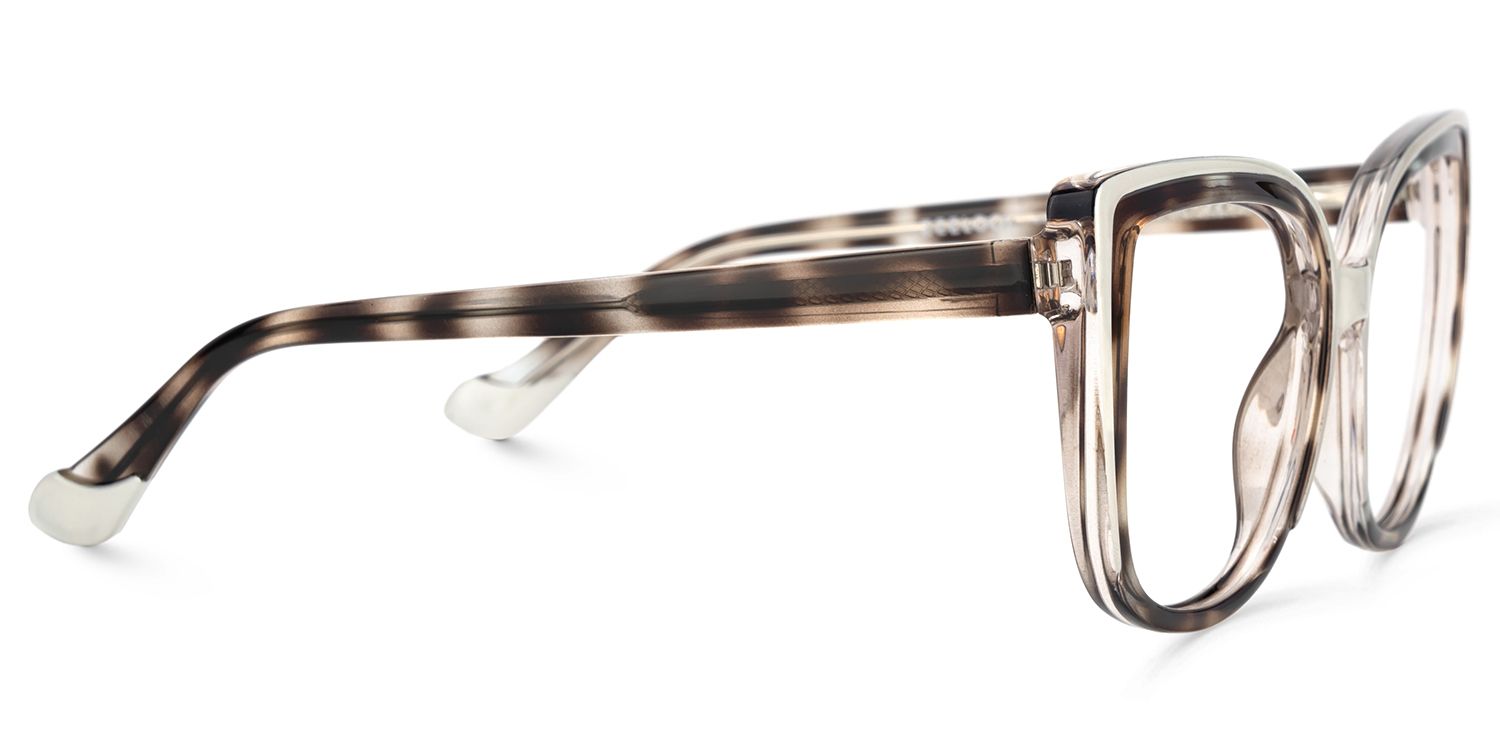 Large Frame Tortoise Shell Glasses For Women4