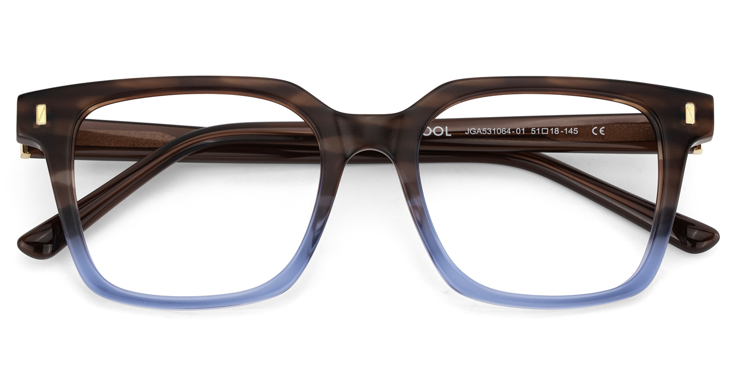 Pagel Brown Gradient Blue Thin Frame Eyeglasses | ZEELOOL Canada2