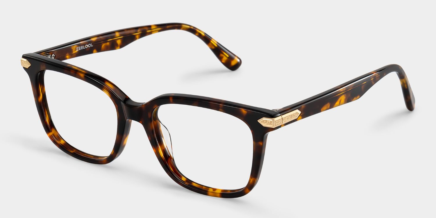 Thomas Tortoise Frame Glasses with Rectangle Frame Online | ZEELOOL3