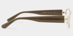 Dakota Brown Rectangle Glasses4