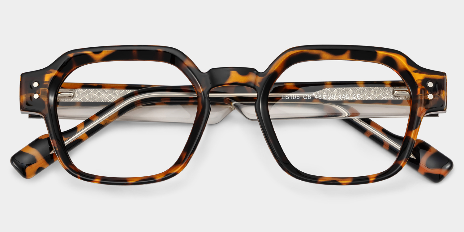Joy Tortoise Frame Glasses with Geometric Frame Online | ZEELOOL2