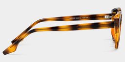 Livia Cat eye Tortoise Polarized Sunglasses3